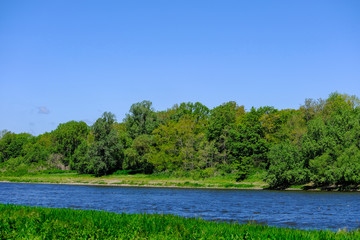 green meadow blue river and green trees