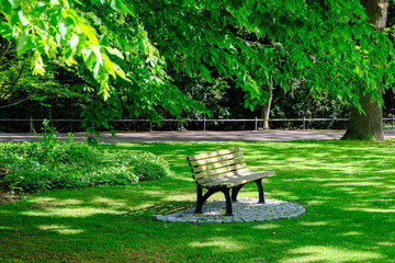 empty bench in the park