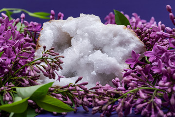 Clear Crystal Quartz Geode with crystalline druzy center surrounded by purple lilac flowers.