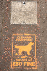 Stencil on pavement sprayed by the local council warning dog owners to clear up after their dogs or receive a £50 fine.