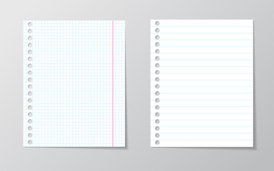White sheet of paper. School notebook paper sheet. With blue line book page background. School note book Template for message, text back to school. Square blank white texture notepad backdrop.