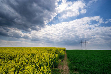 High-voltage towers and cables in agricultural fields. Rural country in South Moravia, Czech Republic.