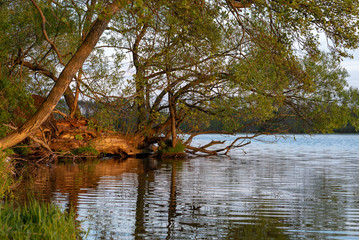 Spokojny zachód złońca nad jeziorem