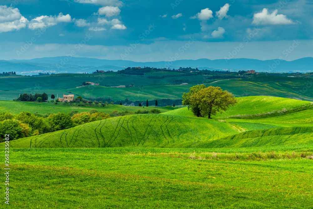 Wall mural tuscany spring, rolling hills and windmill on sunset. rural landscape. green fields. italy, europe