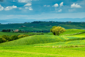 Tuscany spring, rolling hills and windmill on sunset. Rural landscape. Green fields. Italy, Europe