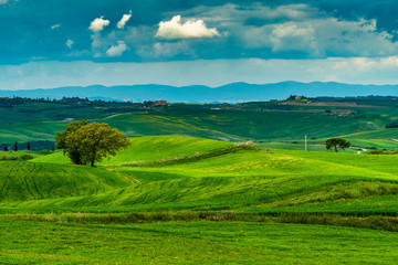 Fototapeta na wymiar Tuscany spring, rolling hills and windmill on sunset. Rural landscape. Green fields. Italy, Europe