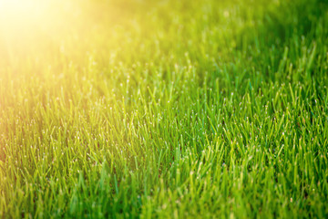 Natural abstract background