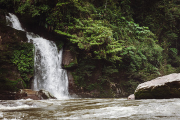 Jungle waterfall