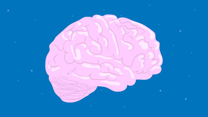 Human brain in the starry sky background vector illustration