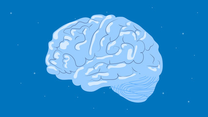 Human brain in the starry sky background vector illustration