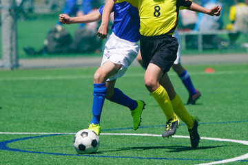 Fototapeta premium Piłka nożna