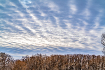 Breathtaking sky filled with a layer of illuminated puffy clouds in winter
