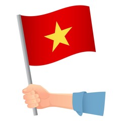 Vietnam flag in hand