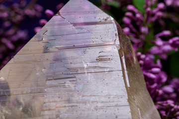 Huge natural Citrine Cathedral Quartz from Brazil surrounded by purple lilac flowers.