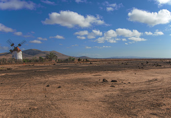 Fototapeta na wymiar farm with white windmill in the desert landscape of fuerteventura. canary islands - spain