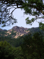 Table Rock formation with tree in foreground