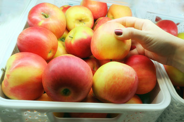 Apples red ripe fruit in box. Apple harvest concept. Apples are harvested by hand. Autumn harvest of apples in the production of juices