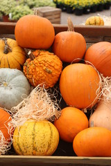 Autumn Decoration pumpkins