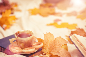A cup of tea on a plaid in an autumn forest. Tea hot, around scattered yellow autumn leaves and pastries. There is a book