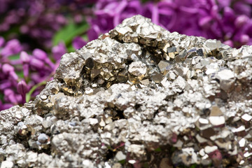 Natural Pyrite Cluster Specimen from Peru surrounded by purple lilac flowers.
