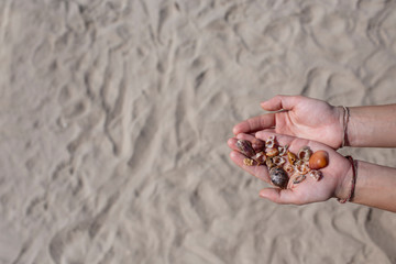 Catch of unusual beautiful seashells. In the palms of the sea wealth. The concept of rest. In the background sand.