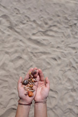 In the gentle hands of the girl on the palms are seashells and pebbles. Vacation, memories, sandy beach.