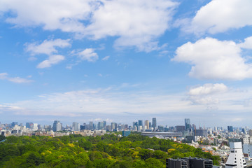 東京風景　2019年5月　緑と青空