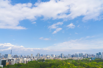 Fototapeta na wymiar 東京風景　緑と青空　2019年5月　スカイツリーから東京タワーまで都心を一望
