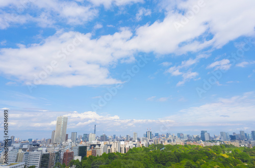 東京風景 緑と青空 19年5月 新宿から望む東京スカイツリー方面 Wall Mural Oka 東京風景 緑と青空 19年5月 新宿から望む東京スカイツリー方面 Wall Mural Oka