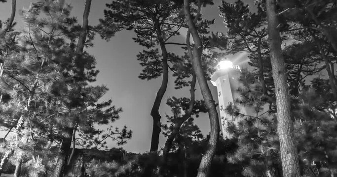 Lighthouse and Pine Black-and-white Nightscape time lapse, Ulsan, South Korea