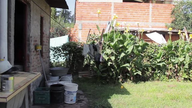 Garden Of A Poor House. Zoom In. 