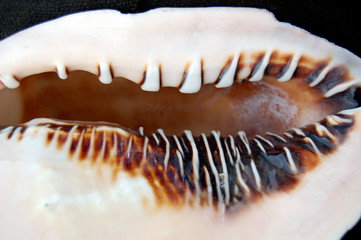 dibujos y formas creadas en el mar