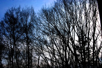 ロープウェイで登った雪山山頂からの景色
