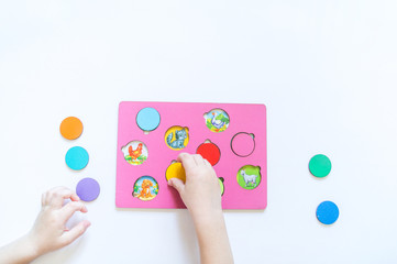 Boy students Child's hands learning biology with montessori material