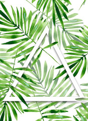 bamboo leaf background with green leaves