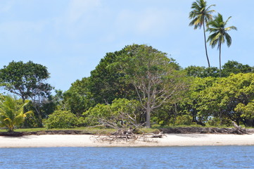 morro de s p - bahia
