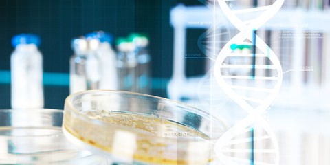 Petri dish with bacterial colonies on base, close-up view