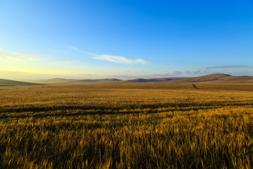 Obraz na płótnie Canvas Sunrise on the prairie