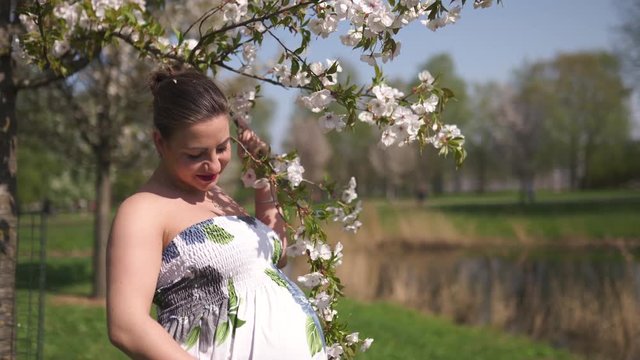 Young traveler pregnant woman enjoys her leisure free time in a park with blossoming sakura cherry trees wearing a summer light long dress with flower pattern - European baltic city Riga, Latvia
