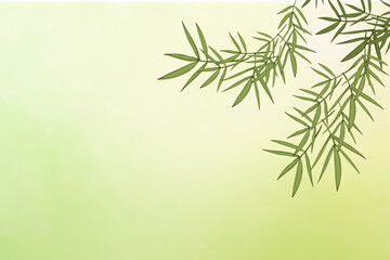 Bamboo leaf background