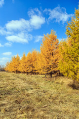 Beautiful scenery of xilingol grassland