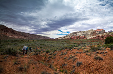 A group of backpackcers treks through the Waterpocket Fold and Halls Creek in Capitol Reef National...