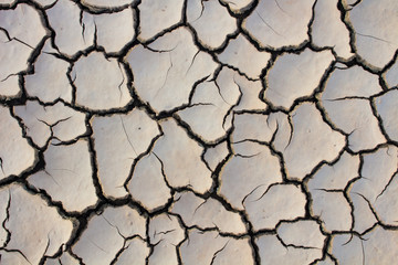 The drought, global warming, environment changes suddenly.