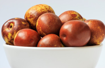 Shoot dates against a white background