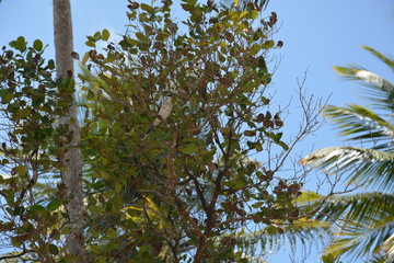 morro sp - bahia 