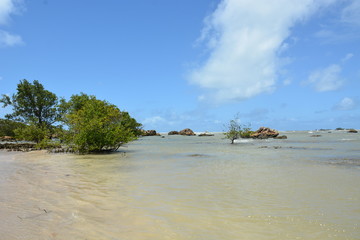 morro sp - bahia 