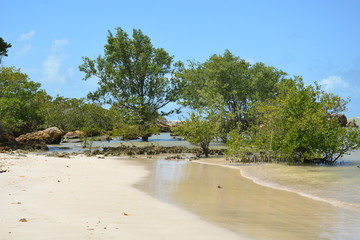 morro sp - bahia 