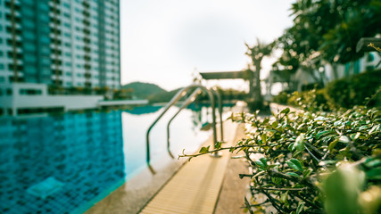 Focus branch foreground near swimming pools and architecture in evening