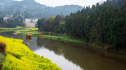 Fototapeta premium scenery of the town south of the Yangtze River in spring
