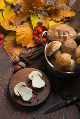 Harvested wild boletus mushrooms on wooden